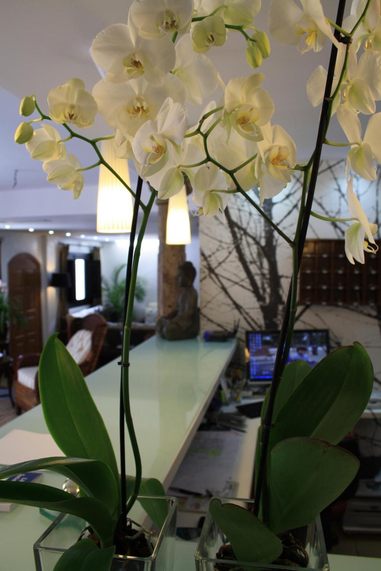 Santuario San Jose (Adults Only) Hotell Exteriör bild